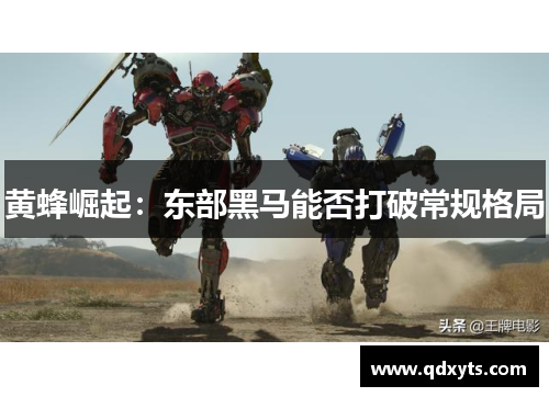 黄蜂崛起：东部黑马能否打破常规格局
